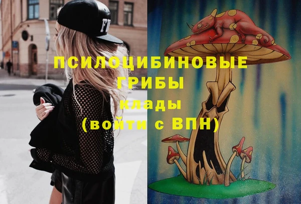 первитин Балахна