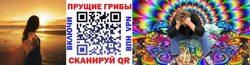 магазин продажи   Торжок  Псилоцибиновые грибы мухоморы 